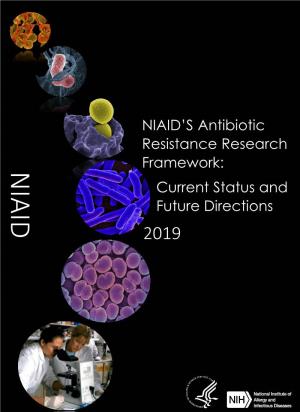 NIAID's Antibiotic Resistance Research Framework: Current Status and Future Directions