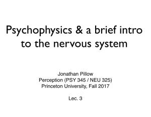 Psychophysics & a Brief Intro to the Nervous System