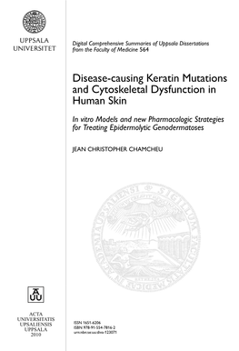 Disease-Causing Keratin Mutations and Cytoskeletal Dysfunction In