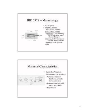 BIO 597Z – Mammalogy Mammal Characteristics