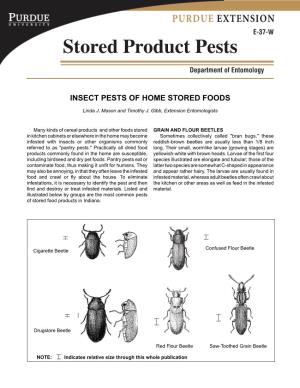 Stored Product Pests Department of Entomology