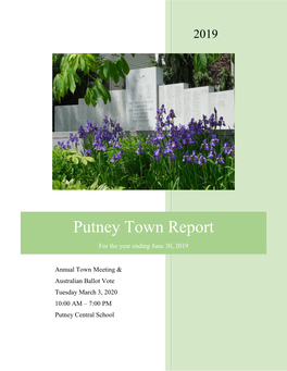 Putney Town Report
