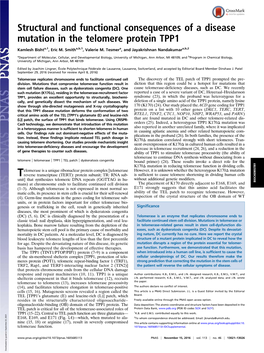 Structural and Functional Consequences of a Disease Mutation in the Telomere Protein TPP1