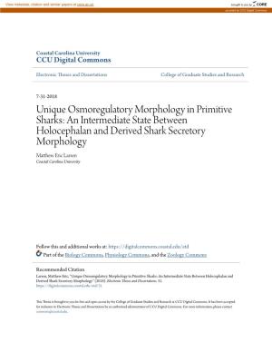 Unique Osmoregulatory Morphology in Primitive Sharks