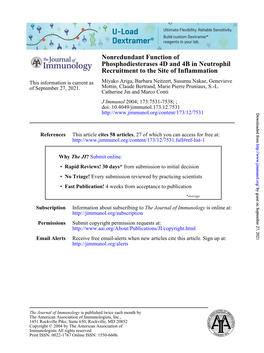 Recruitment to the Site of Inflammation Phosphodiesterases 4D and 4B In