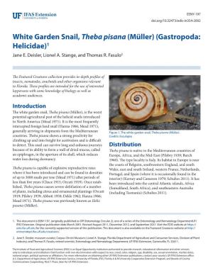 White Garden Snail, Theba Pisana (Müller) (Gastropoda: Helicidae)1 Jane E