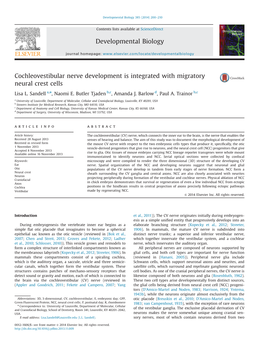 Cochleovestibular Nerve Development Is Integrated with Migratory Neural Crest Cells
