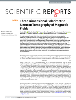 Three Dimensional Polarimetric Neutron Tomography of Magnetic