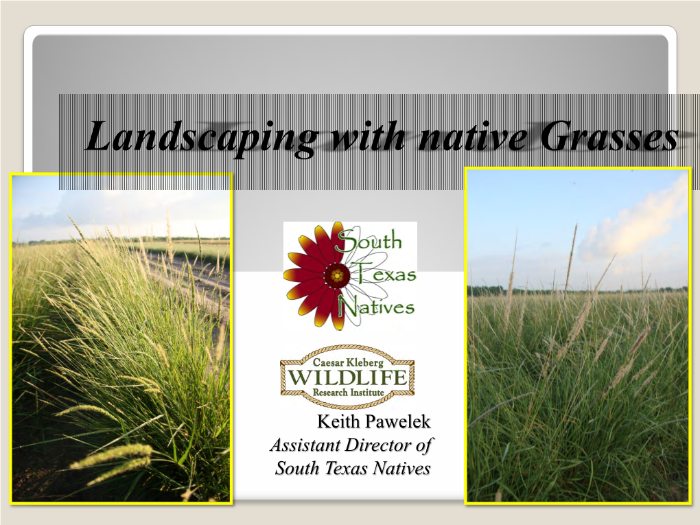 Landscaping with Native Grasses