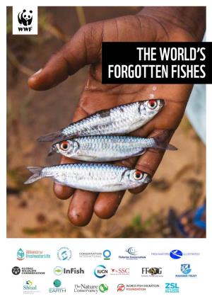 The World's Forgotten Fishes