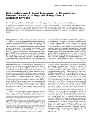 Methamphetamine-Induced Degeneration of Dopaminergic Neurons Involves Autophagy and Upregulation of Dopamine Synthesis