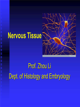 Nervous Tissue