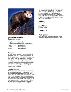 Virginia Opossum Biodiversity of Iowa: Aquatic Habitats CD-ROM