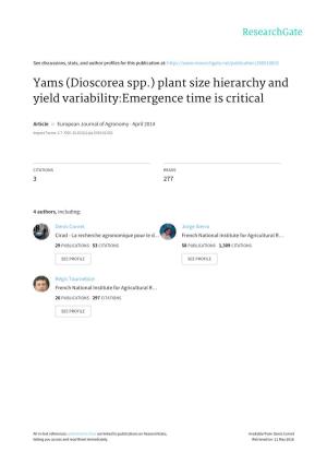 Yams (Dioscorea Spp.) Plant Size Hierarchy and Yield Variability:Emergence Time Is Critical