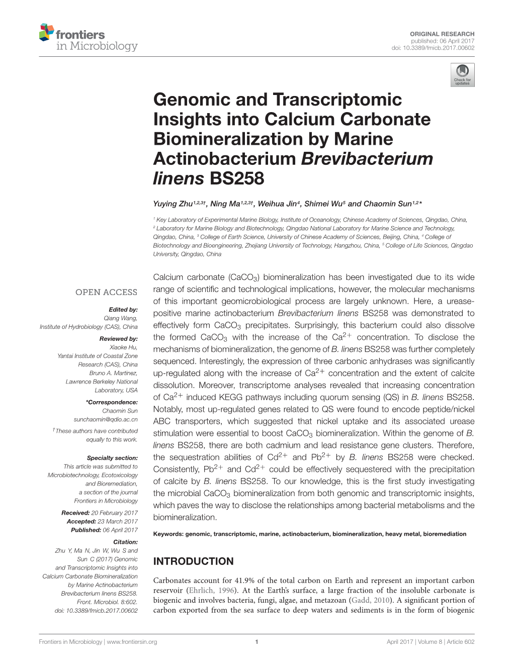 Genomic and Transcriptomic Insights Into Calcium Carbonate Biomineralization by Marine Actinobacterium Brevibacterium Linens BS258