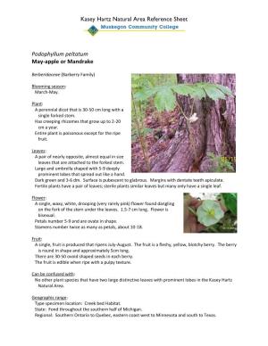 Kasey Hartz Natural Area Reference Sheet Podophyllum Peltatum May