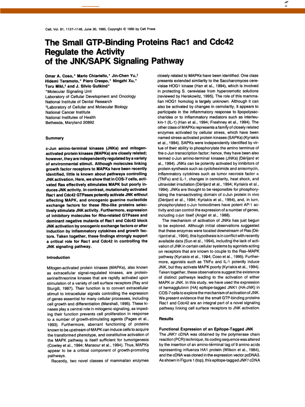 The Small GTP-Binding Proteins Racl, and Cdc42 Regulate the Activity of the JNK/SAPK Signaling Pathway