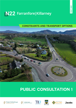 Public Consultation 1