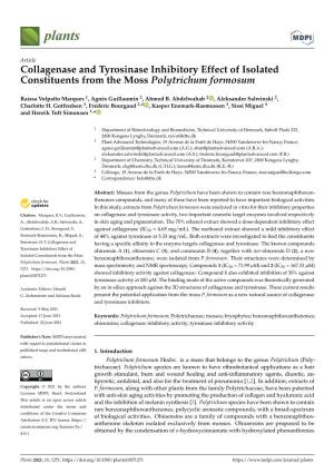 Collagenase and Tyrosinase Inhibitory Effect of Isolated Constituents from the Moss Polytrichum Formosum