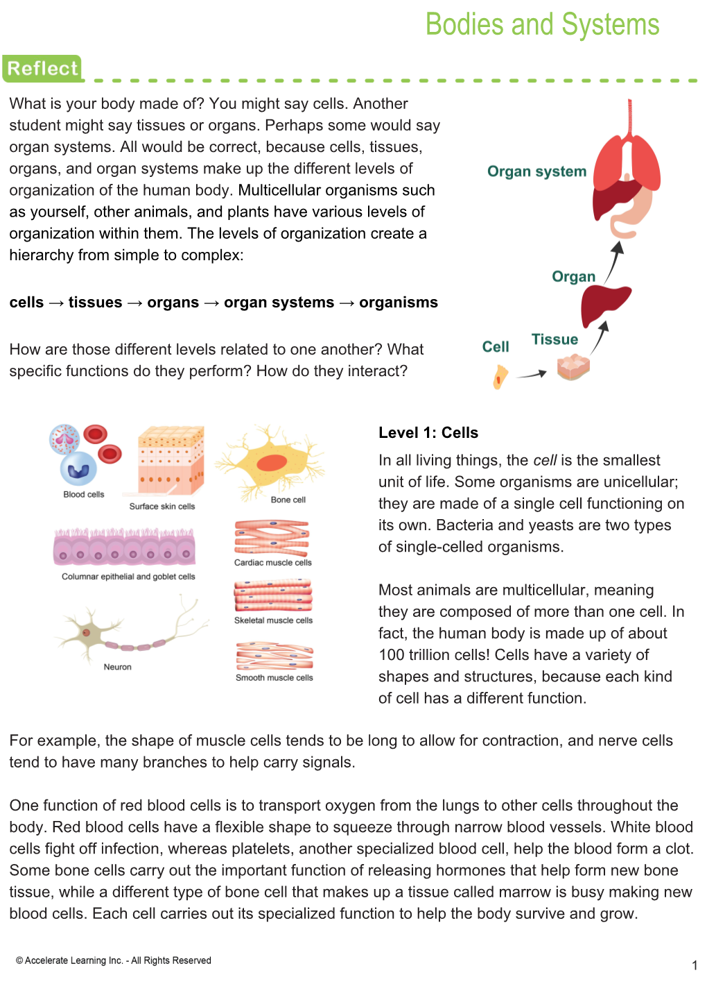 Bodies and Systems