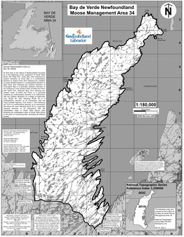 Bay De Verde Newfoundland Moose Management Area 34