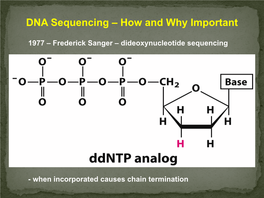 DNA Sequencing – How and Why Important