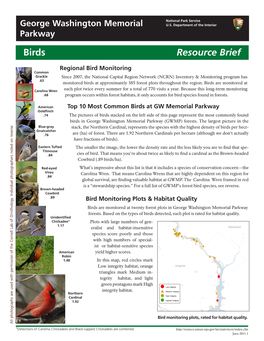 Resource Brief Birds