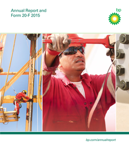 BP Annual Report and Form 20-F 2015 Who We Are