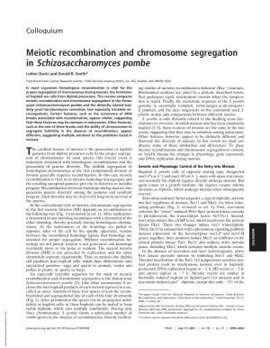 Meiotic Recombination and Chromosome Segregation in Schizosaccharomyces Pombe