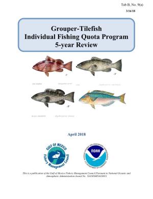 Grouper-Tilefish Individual Fishing Quota Program 5-Year Review