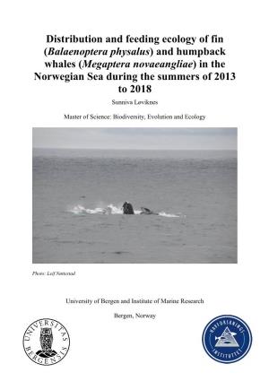 Distribution and Feeding Ecology of Fin (Balaenoptera Physalus) and Humpback Whales (Megaptera Novaeangliae) in the Norwegian Se
