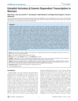 Estradiol Activates B-Catenin Dependent Transcription in Neurons