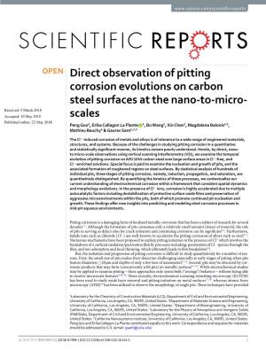 Direct Observation of Pitting Corrosion Evolutions on Carbon Steel Surfaces