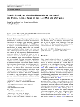 Genetic Diversity of Elite Rhizobial Strains of Subtropical and Tropical Legumes Based on the 16S Rrna and Glnii Genes