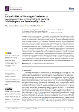Role of SSD1 in Phenotypic Variation of Saccharomyces Cerevisiae Strains Lacking DEG1-Dependent Pseudouridylation