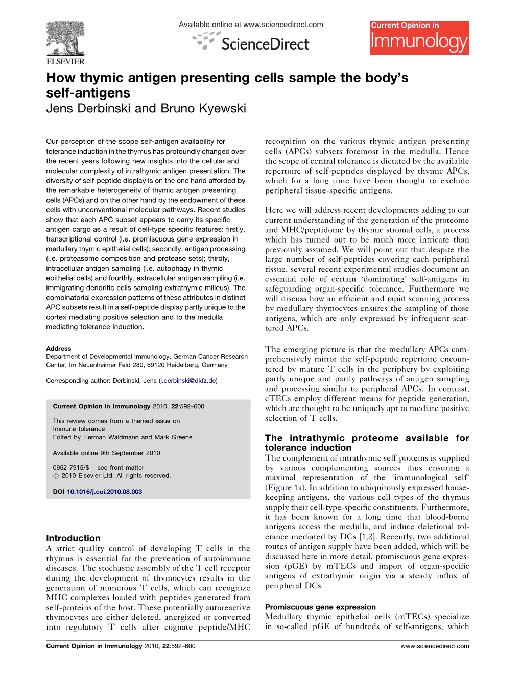 How Thymic Antigen Presenting Cells Sample the Body's Self-Antigens