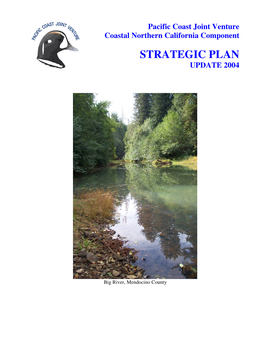Strategic Plan Update 2004