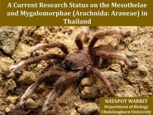 A Current Research Status on the Mesothelae and Mygalomorphae (Arachnida: Araneae) in Thailand