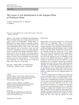 The Causes of Soil Alkalinization in the Songnen Plain of Northeast China