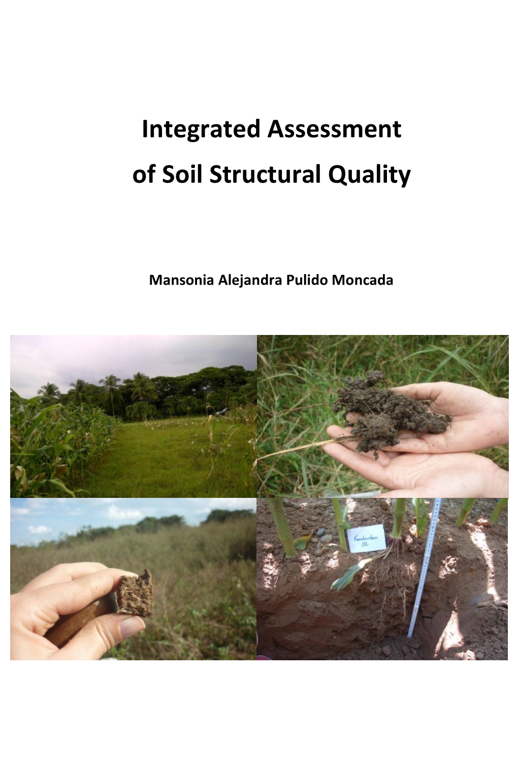 Integrated Assessment of Soil Structural Quality