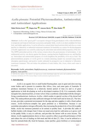 Azolla Pinnata: Potential Phytoremediation, Antimicrobial, and Antioxidant Applications