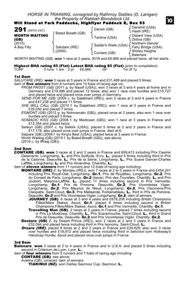 HORSE in TRAINING, Consigned by Rathmoy Stables (D