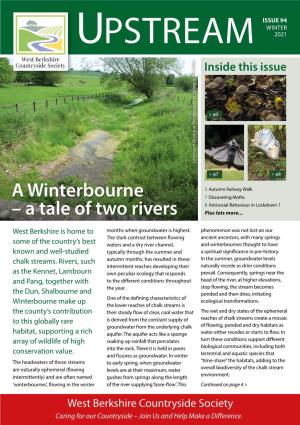 A Winterbourne – a Tale of Two Rivers