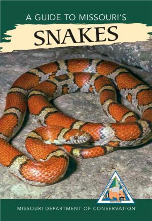 A Guide to Missouri's Snakes