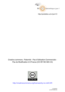 Pas De Modification 2.0 France (CC BY-NC-ND 2.0)