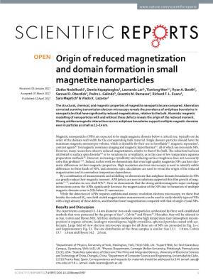 Origin of Reduced Magnetization and Domain Formation in Small