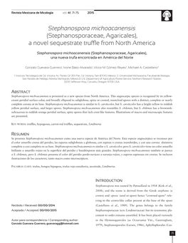 Stephanospora Michoacanensis (Stephanosporaceae, Agaricales), a Novel Sequestrate Truffle from North America