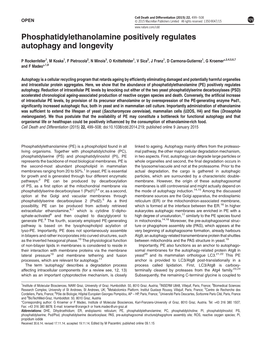 Phosphatidylethanolamine Positively Regulates Autophagy and Longevity