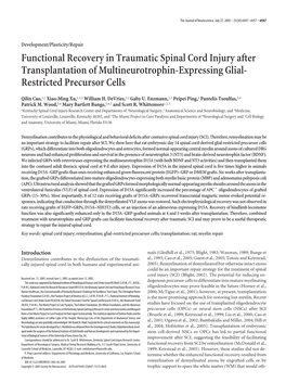 Functional Recovery in Traumatic Spinal Cord Injury After Transplantation of Multineurotrophin-Expressing Glial- Restricted Precursor Cells