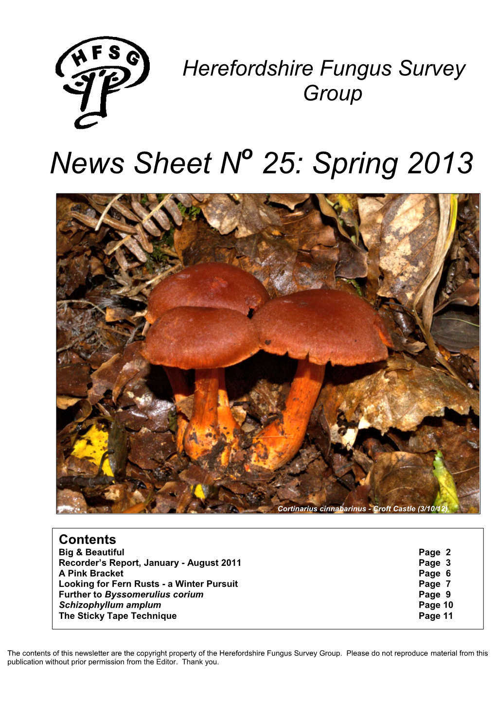 News Sheet N 25